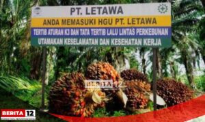 IMG-20250520-WA0018