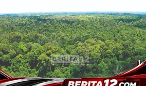 Berita12.com_20260123_172214_0000