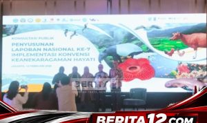 Berita12.com_20260212_142411_0000