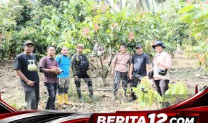 Berita12.com_20260228_144805_0000