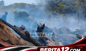 Berita12.com_20260901_222829_0000