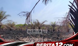 Berita12.com_20260903_181748_0000
