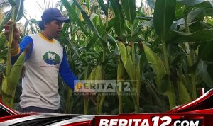 Berita12.com_20260924_165911_0000